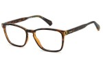 Glasses Polaroid PLDD462 086 Rechteck Havanna