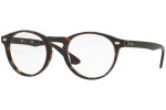 Glasses Ray-Ban RX5283 2012 Rund Havanna