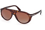 Sonnenbrille Tom Ford FT1001 52F Pilot Havanna