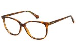 Glasses Polaroid PLDD487 086 Oval Havanna