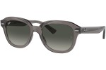 Sonnenbrille Ray-Ban Erik RB4398 667571 Quadratisch Grau