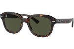 Sunglasses Ray-Ban Erik RB4398 902/31 Quadratisch Havanna