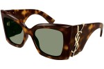 Sonnenbrille Saint Laurent SLM119BLAZE 002 Cat Eye Havanna