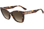 Sunglasses Moschino MOS155/S 05L/HA Cat Eye Havanna