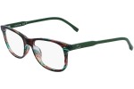 Lacoste L3657 315