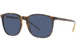 Ray-Ban RB4387 710/80