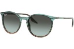 Ray-Ban RB2204 1394GK