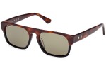 Sunglasses Web WE0359 56N Quadratisch Havanna