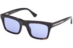 Sunglasses Web WE0362 56V Quadratisch Havanna