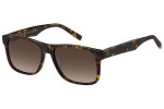 Sunglasses Tommy Hilfiger TH2073/S 086/HA Rechteck Havanna