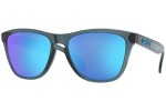 Oakley Frogskins OO9013-F6 PRIZM Polarized