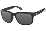 Oakley Holbrook OO9102-E1 PRIZM