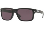 Oakley Holbrook OO9102-E8