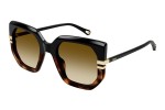 Sunglasses Chloe CH0240S 003 Quadratisch Schwarz