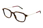 Glasses Gucci GG1576O 002 Quadratisch Havanna