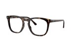 Ray-Ban RX2210V 2012