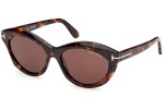 Sunglasses Tom Ford FT1111 52E Oval Havanna