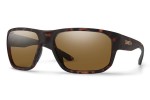 Smith ARVO N9P/L5 Polarized