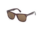 Sunglasses Tom Ford FT1099 52J Quadratisch Havanna