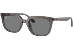 Sonnenbrille Ray-Ban RB4439D 667587 Quadratisch Grau