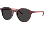 Sunglasses Ray-Ban RB2230 141948 Polarized Rund Rot