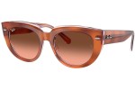 Sunglasses Ray-Ban RB2286 1415A5 Quadratisch Havanna