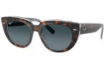 Ray-Ban RB2286 1413S3 Polarized