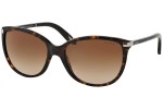 Ralph by Ralph Lauren RA5160 510/13