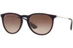 Ray-Ban Erika Classic RB4171 631513