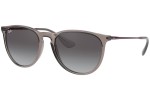 Ray-Ban Erika RB4171 65138G